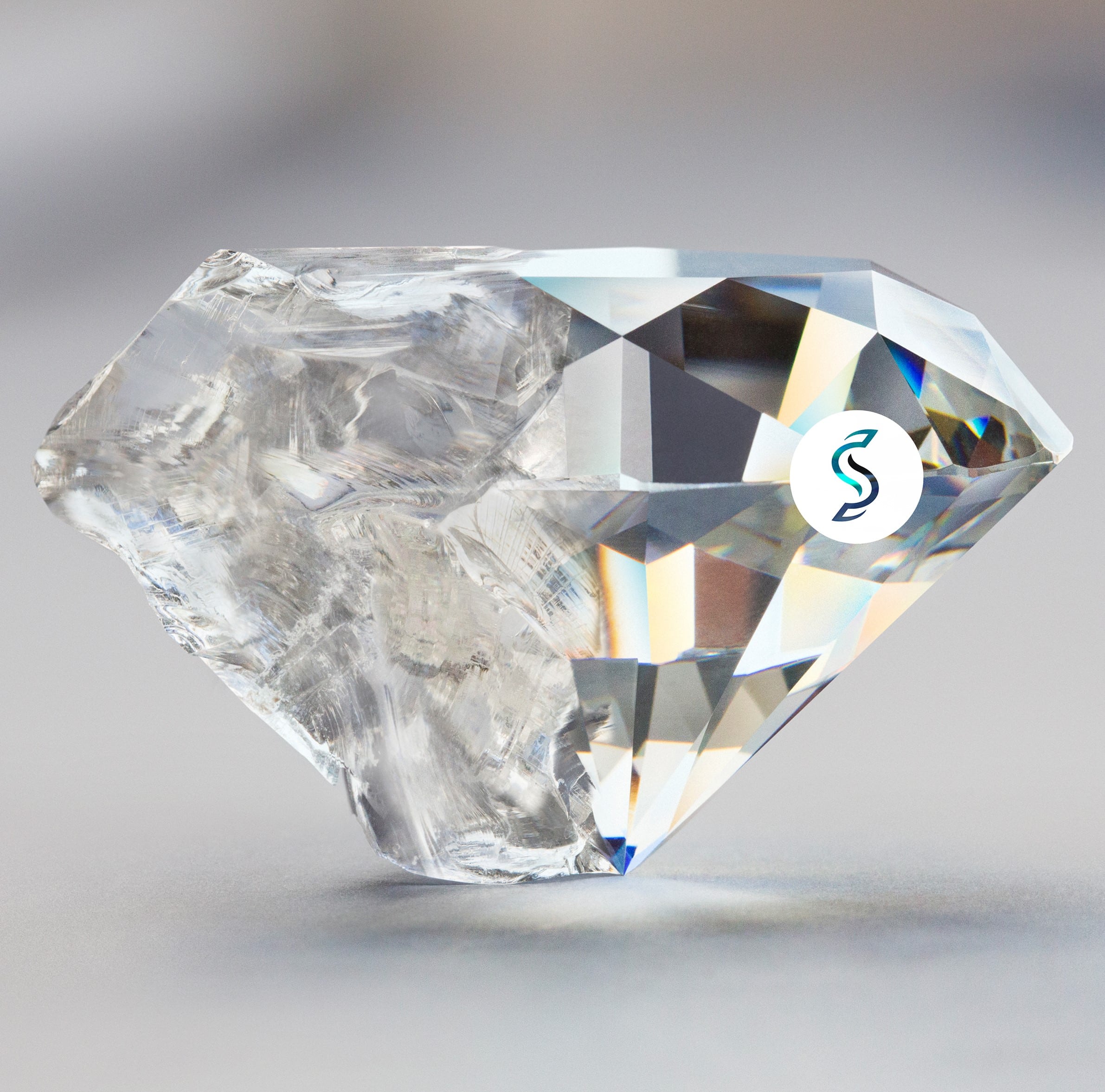 Bild eines Diamanten hälftig roh hälftig geschliffen mit Logo von Evelyn Siller